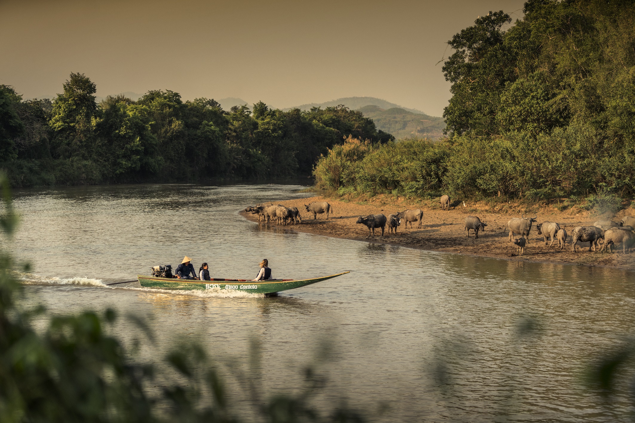 Long tailed boat arrival
